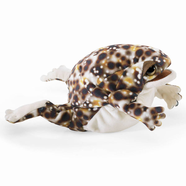 Marionnette à main Desert Rain Frog 3214/ Desert Rain Frog Folkmanis réaliste