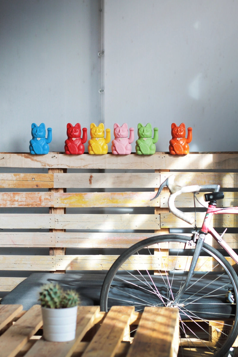 Lucky mojito green gato