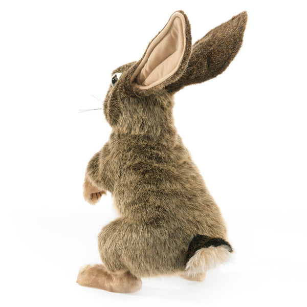 Marionnette à main Liève/Jack Rabbit 3200 Folkmanis réaliste