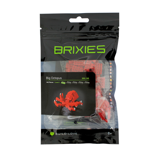 BRIXIES Grand poulpe