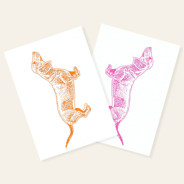 Cartolina con bassotto arancione neon