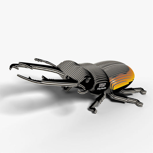 114 Stag Beetle