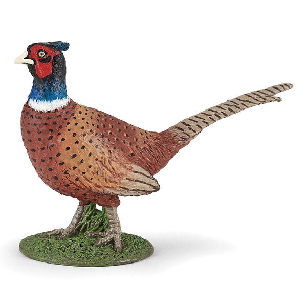 Figurine Faisan Papo - animal sauvage
