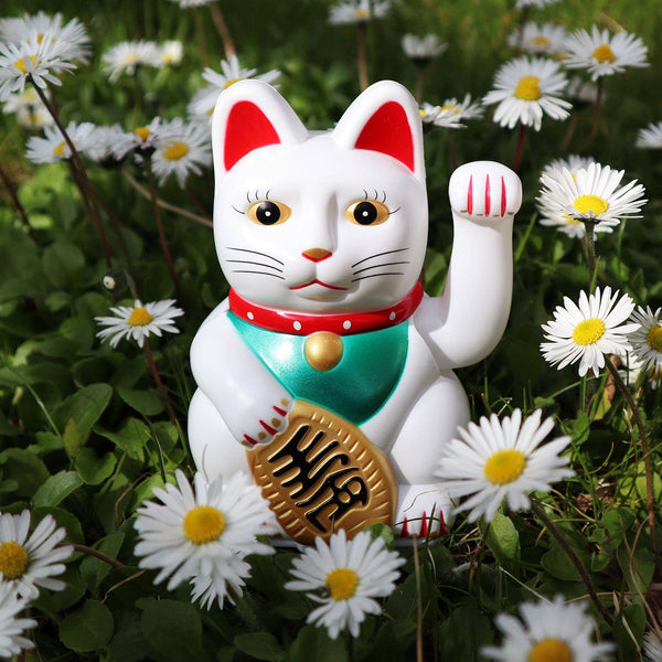 Chat chanceux blanc 13cm