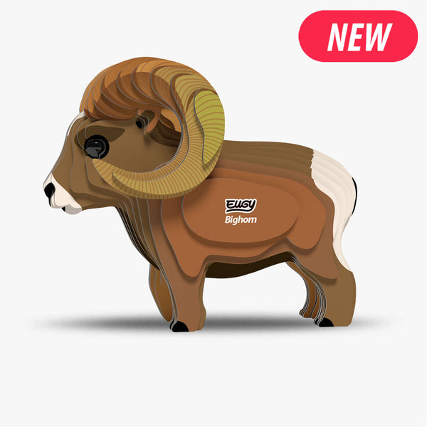 145 Mouflon des Rocheuses