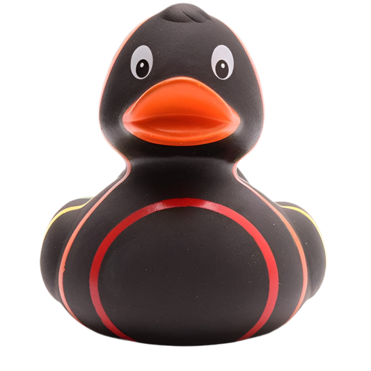 canard classique arc en ciel noir