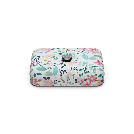 Lunch box | Little Buds