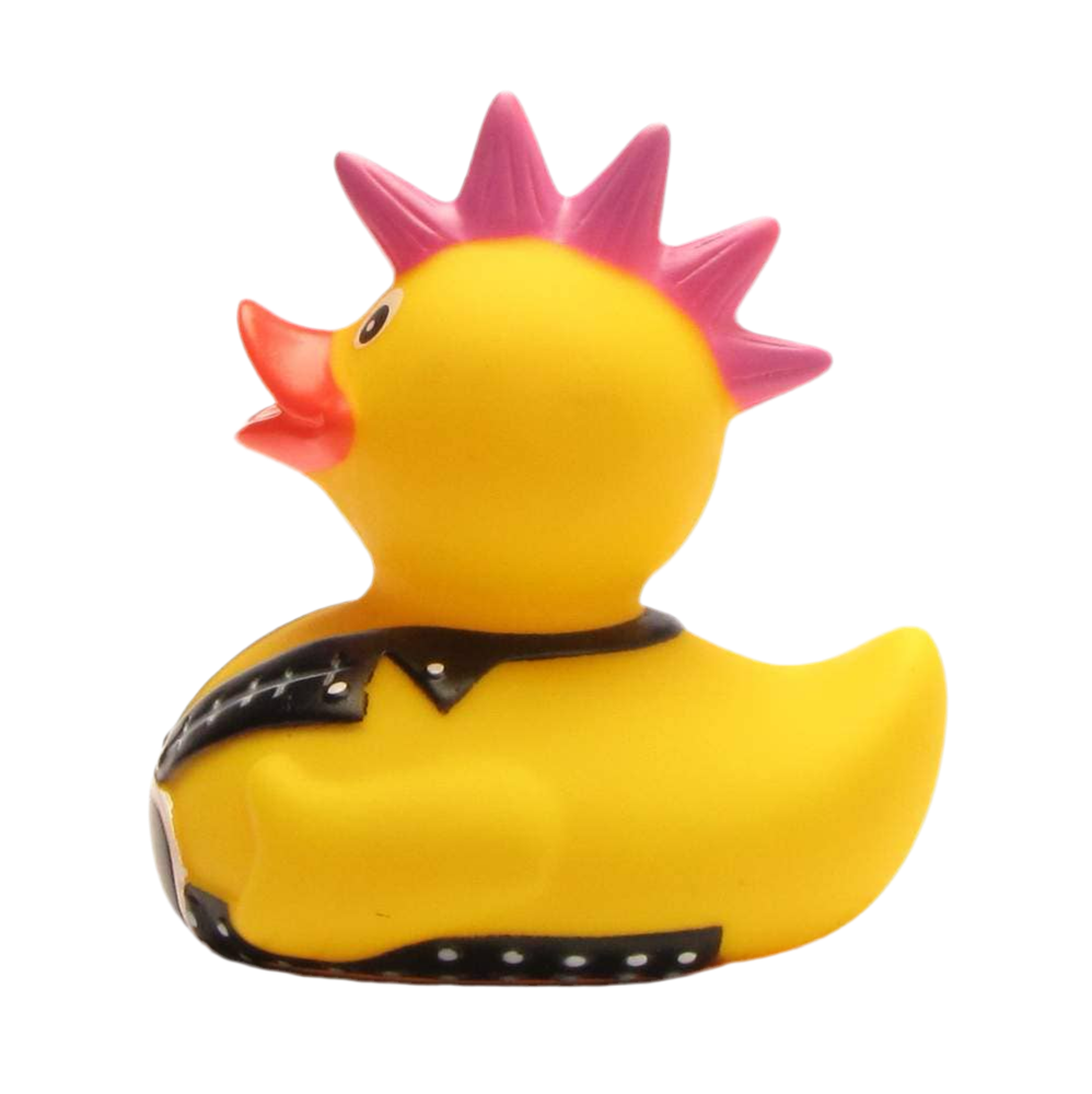 Punk Duck