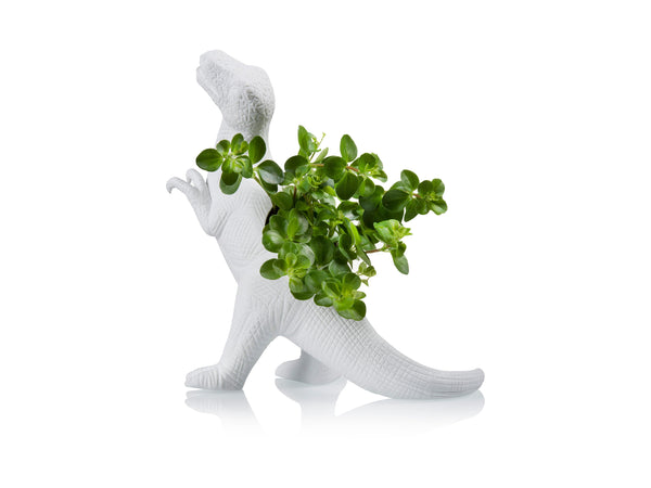 Plantosaurus Rex Planter