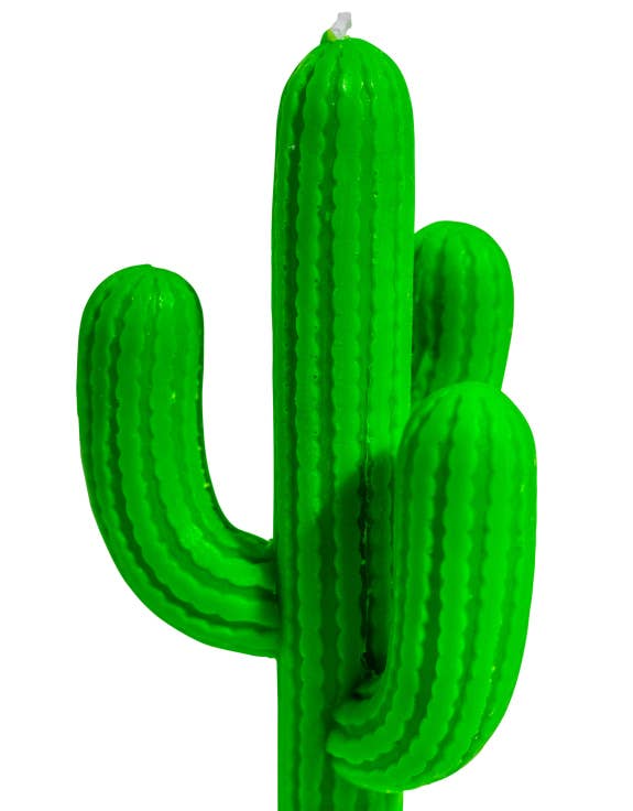 Vela de cactus verde