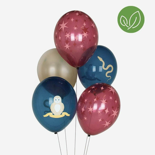 5 palloncini per feste - Mago