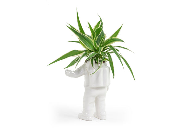 Astronaut Planter Small