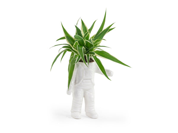Astronaut Planter Small