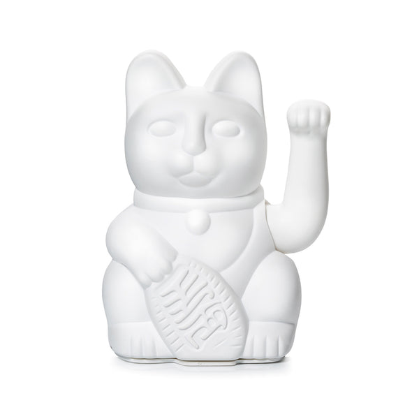 Gatto bianco fortunato