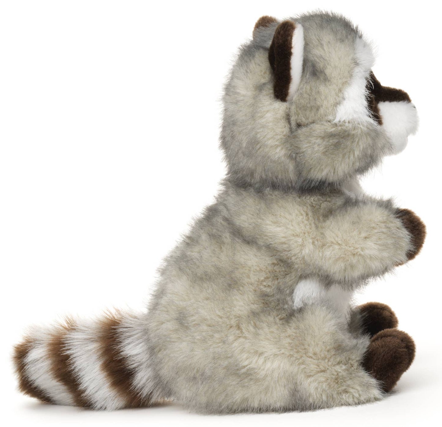 Peluche Raton laveur, assis