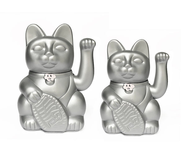 Gatto fortunato dei soldi