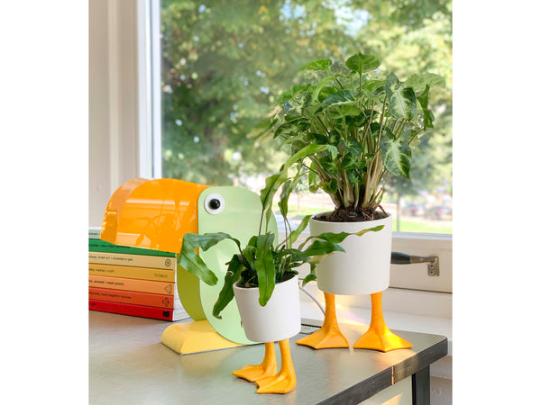 Duck Feet Planter Large