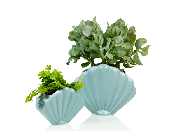 Shell Planter Large Blue