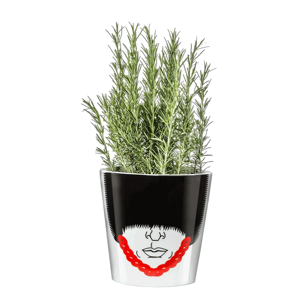 Vaso di fiori della Guardia Reale