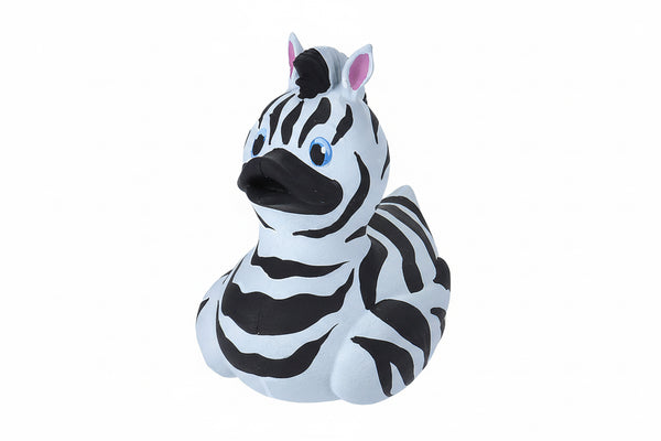 Anatra zebra