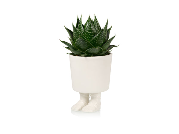 Pot de Fleur Sandale Gladiateur – Grand – Bitten