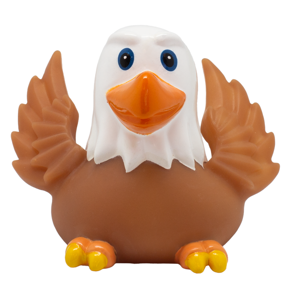 Aquila d'anatra