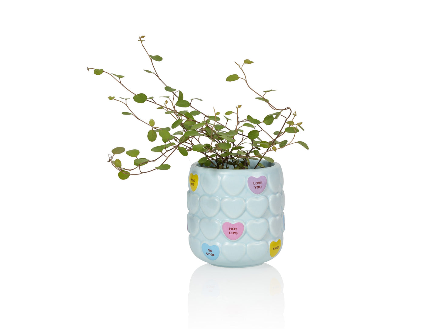 Sweet Heart Cup Blue