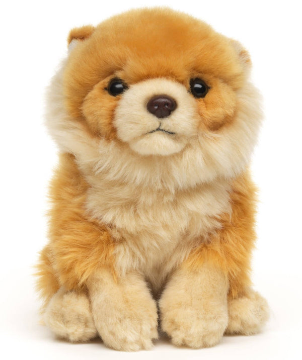Peluche Spitz nain assis Uni Toys