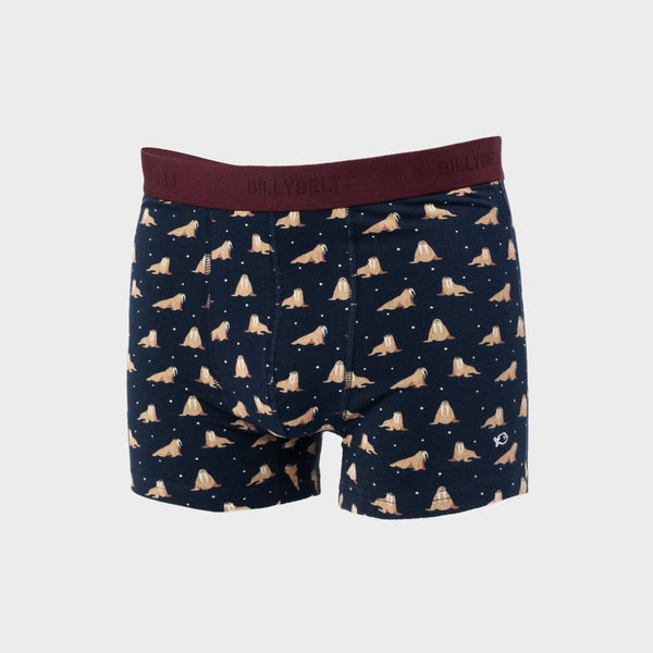 Boxer En Coton Biologique - Freya
