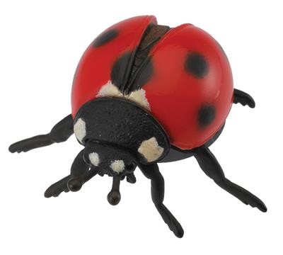 Collecta Insectes (M): COCCINELLE 5.5x4.5x2.5cm