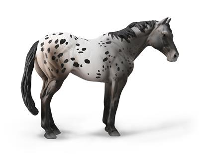 Collecta Chevaux (1:20 XL): APPALOOSA ROUAN 14x10cm