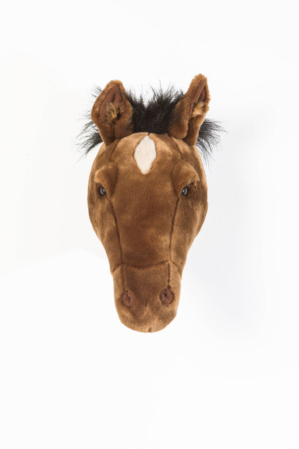 Scarlett le cheval brun - Wild & Soft
