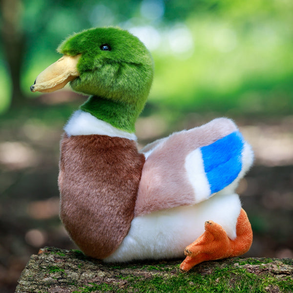 ANIMIGOS LE MONDE DE LA NATURE CANARD COLVERT