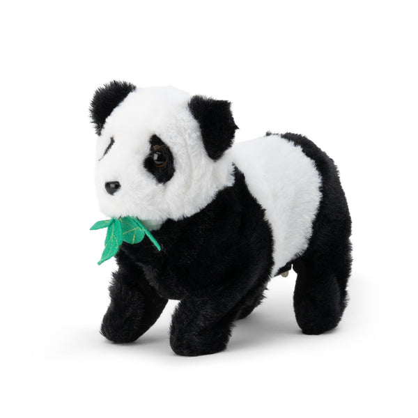 ANIMIGOS RETOURNANT LE PANDA
