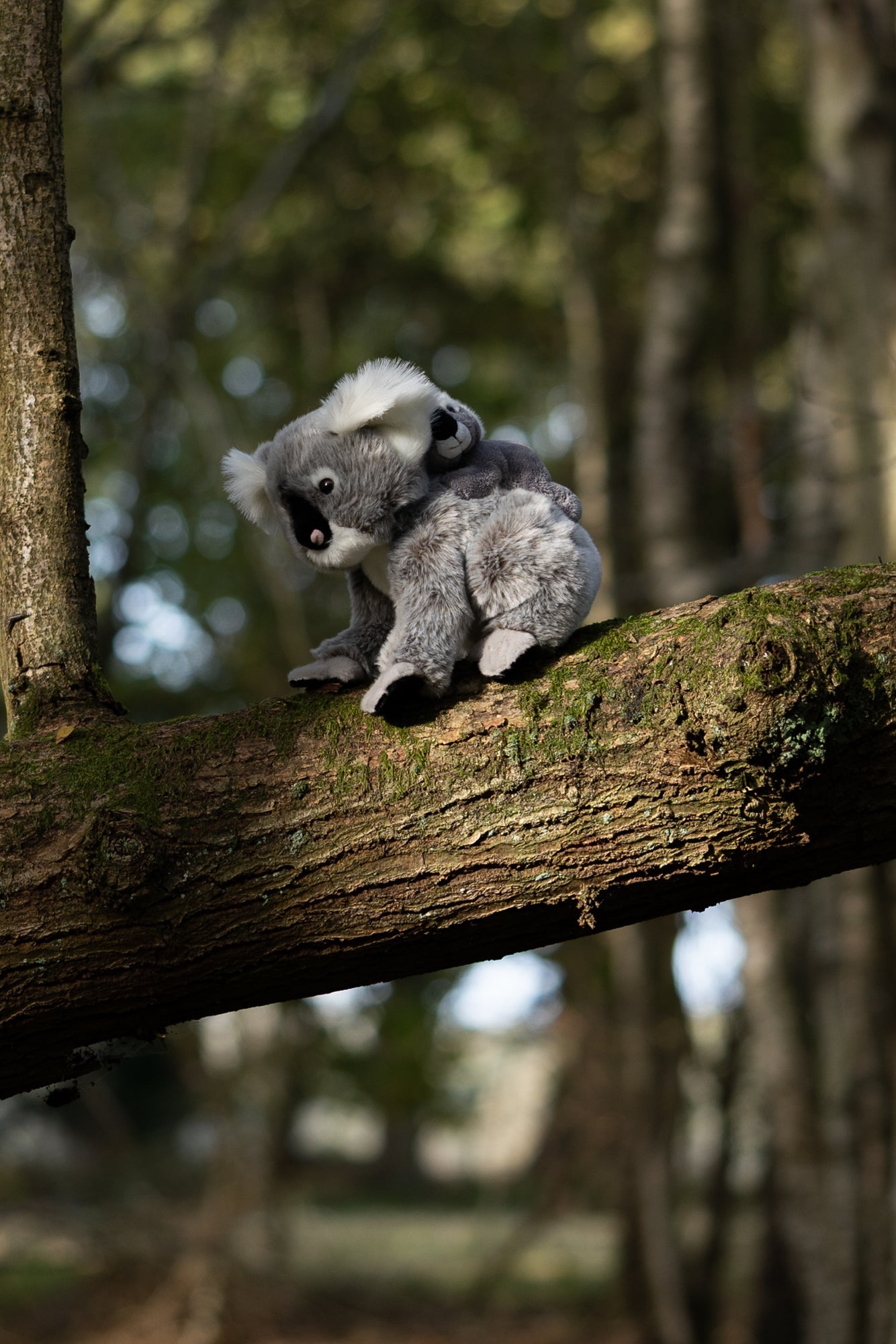 ANIMIGOS MONDE DE LA NATURE KOALA ET BÉBÉ