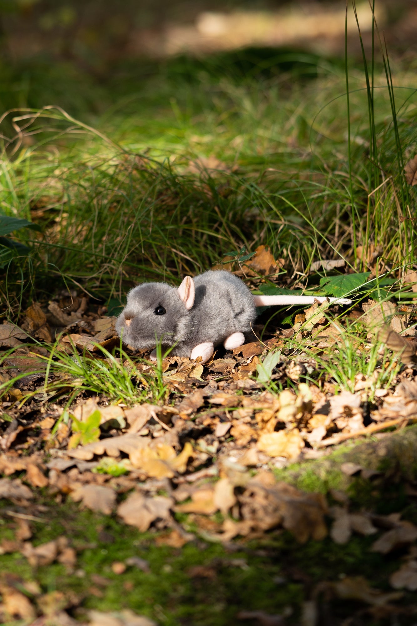 ANIMIGOS MONDE DE LA NATURE RAT CRIANT