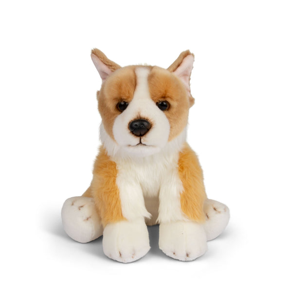 ANIMIGOS WORLD OF NATURE 30CM CORGI