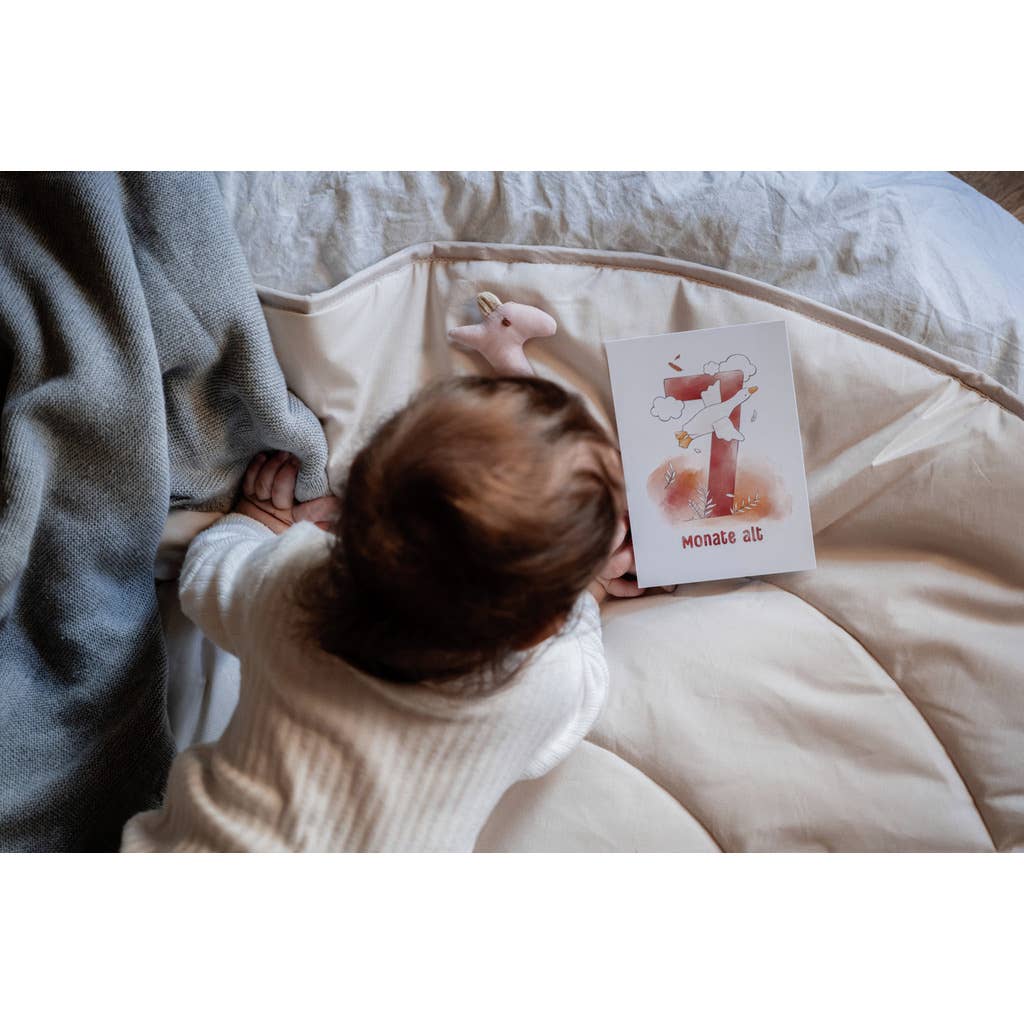 Tarjetas de hitos (16 piezas)