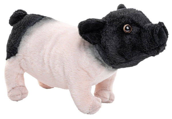 Swabian-Hällisches Landschwein - peluche Uni Toys