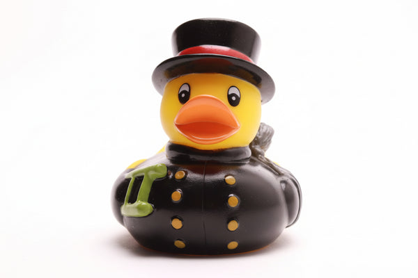 Pato deshollinador