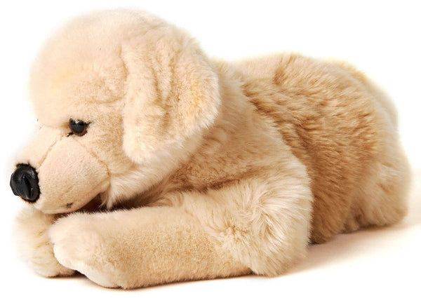 Golden Retriever, couché - peluche Uni Toys