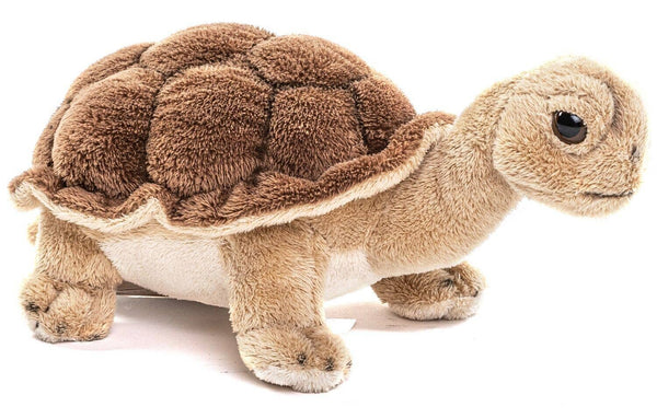 Peluche Tortue Uni Toys