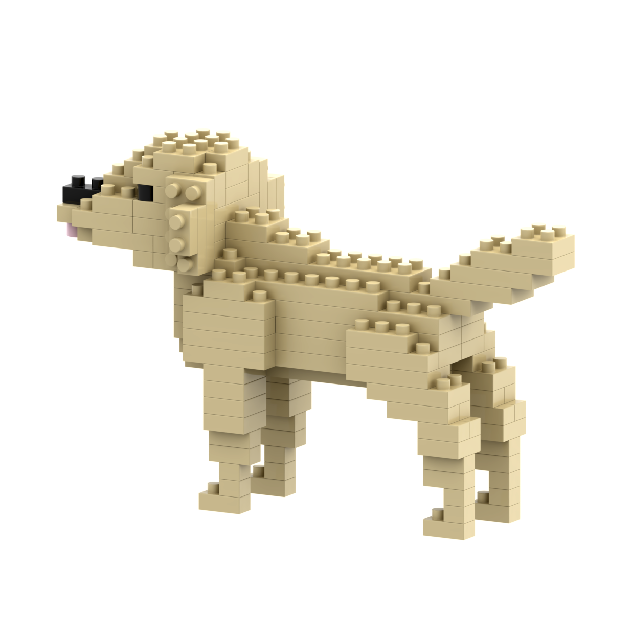 BRIXIES Golden Retriever