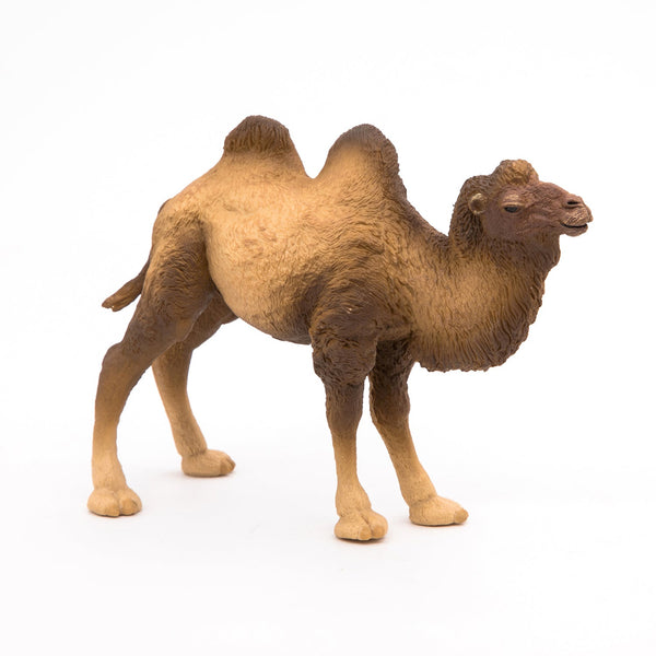 Figurine Chameau de Bactriane Papo - animal sauvage