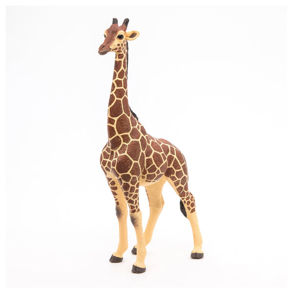 Figurine Girafe mâle Papo - animal sauvage