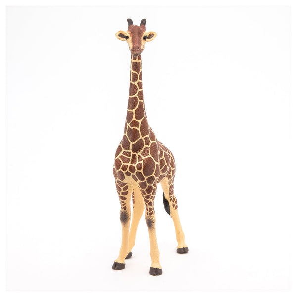 Figurine Girafe mâle Papo - animal sauvage