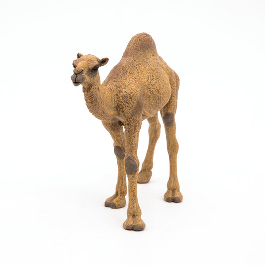 Figurine Dromadaire