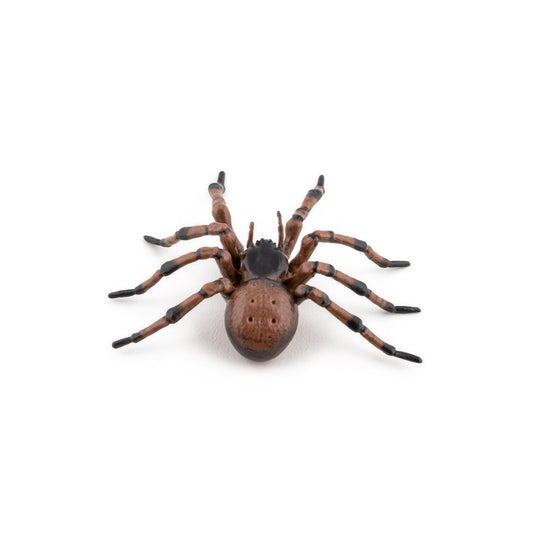 Figurine Araignée commune