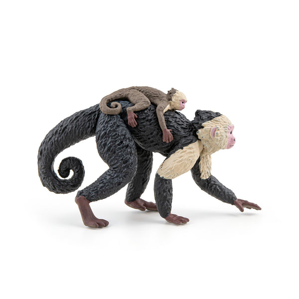 Figurine Capucin Papo - animal sauvage