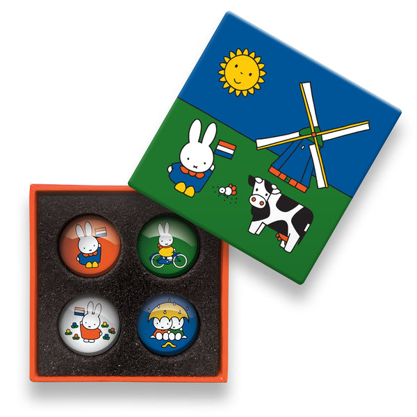 Ímanes de vidro da Miffy Rabbit